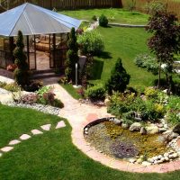 large creeping coniferous flowers in the landscape design of a summer cottage photo