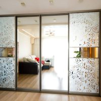 built-in wardrobe in the interior of the hallway picture