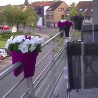 bright flowers on the balcony on the shelves design photo