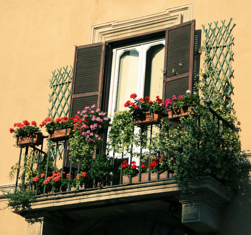 chic flowers in the interior of the balcony on the whatnots interior