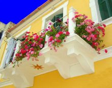 bright flowers in the interior of the balcony on the jumpers design photo