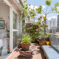 beautiful flowers on the balcony on the shelves example picture