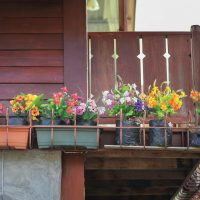 chic flowers in the interior of the balcony on the shelves design picture