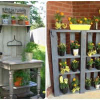 chic flowers on the balcony on the shelves interior photo