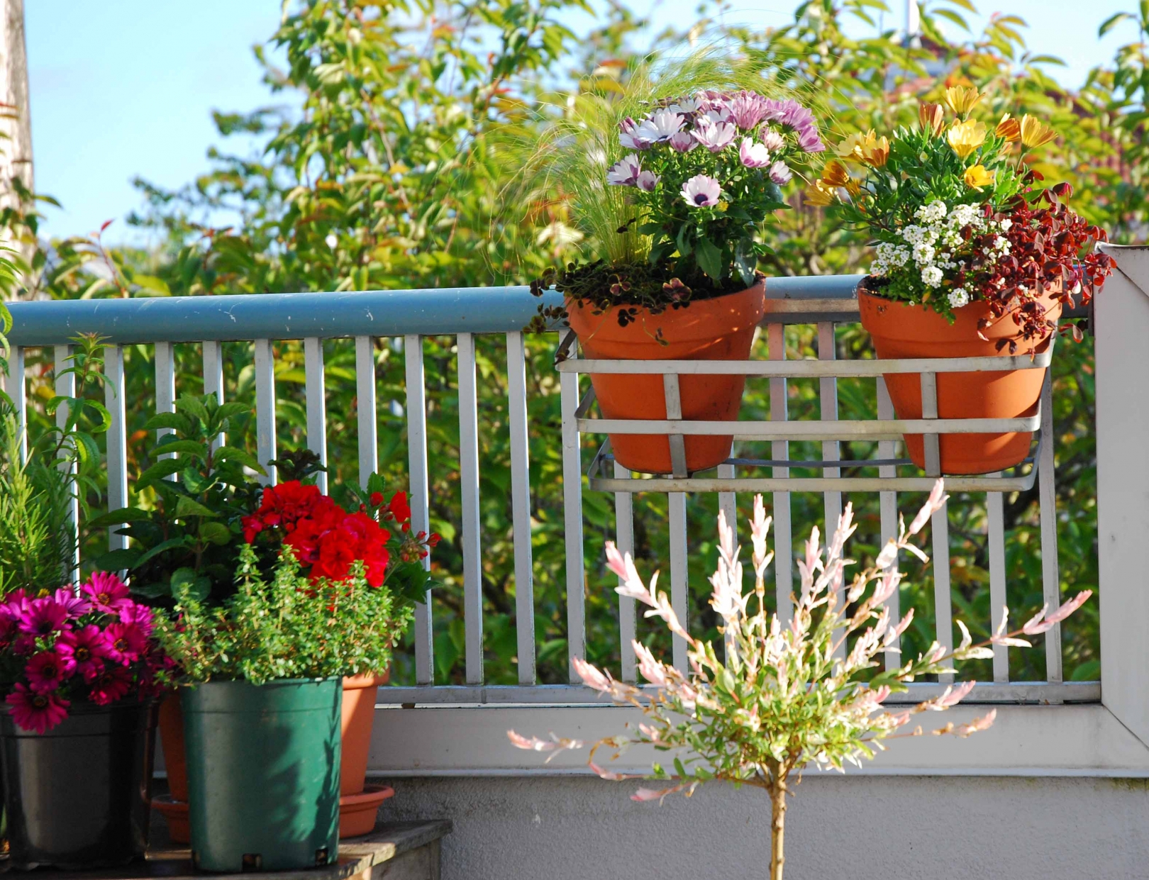 beautiful flowers in the interior of the balcony on the lintels design