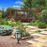 beautiful medium-sized coniferous flowers in the landscape design of a summer cottage photo