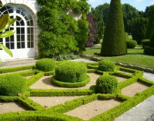 beautiful creeping conifers in the landscaping of the cottage photo