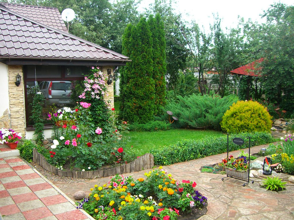 beautiful undersized conifers in the landscaping of a summer cottage