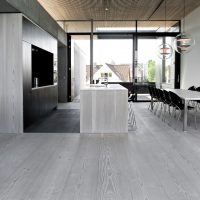 light white oak in the design of the hallway photo