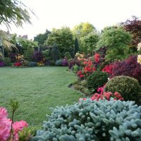 unusual landscape decor of the courtyard in the English style with flowers photo