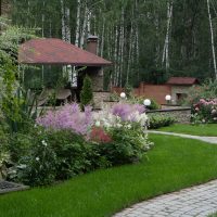 beautiful landscaping of the garden in the English style with trees picture