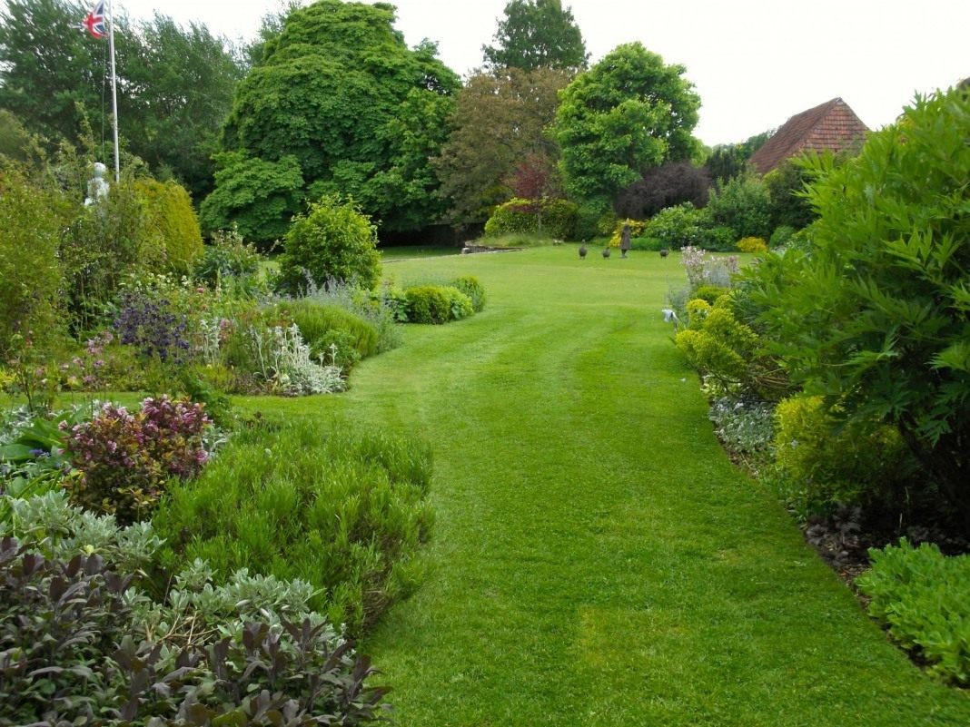 beautiful landscape decor of the courtyard in the English style with flowers