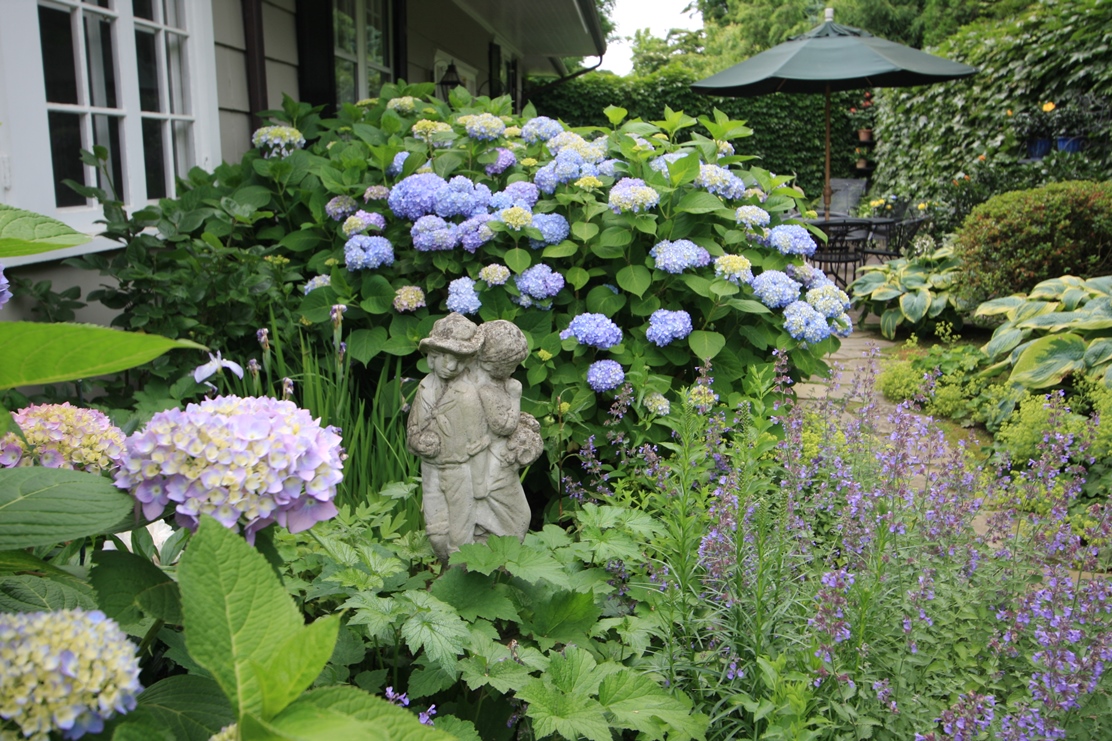 chic landscaping garden in the English style with trees