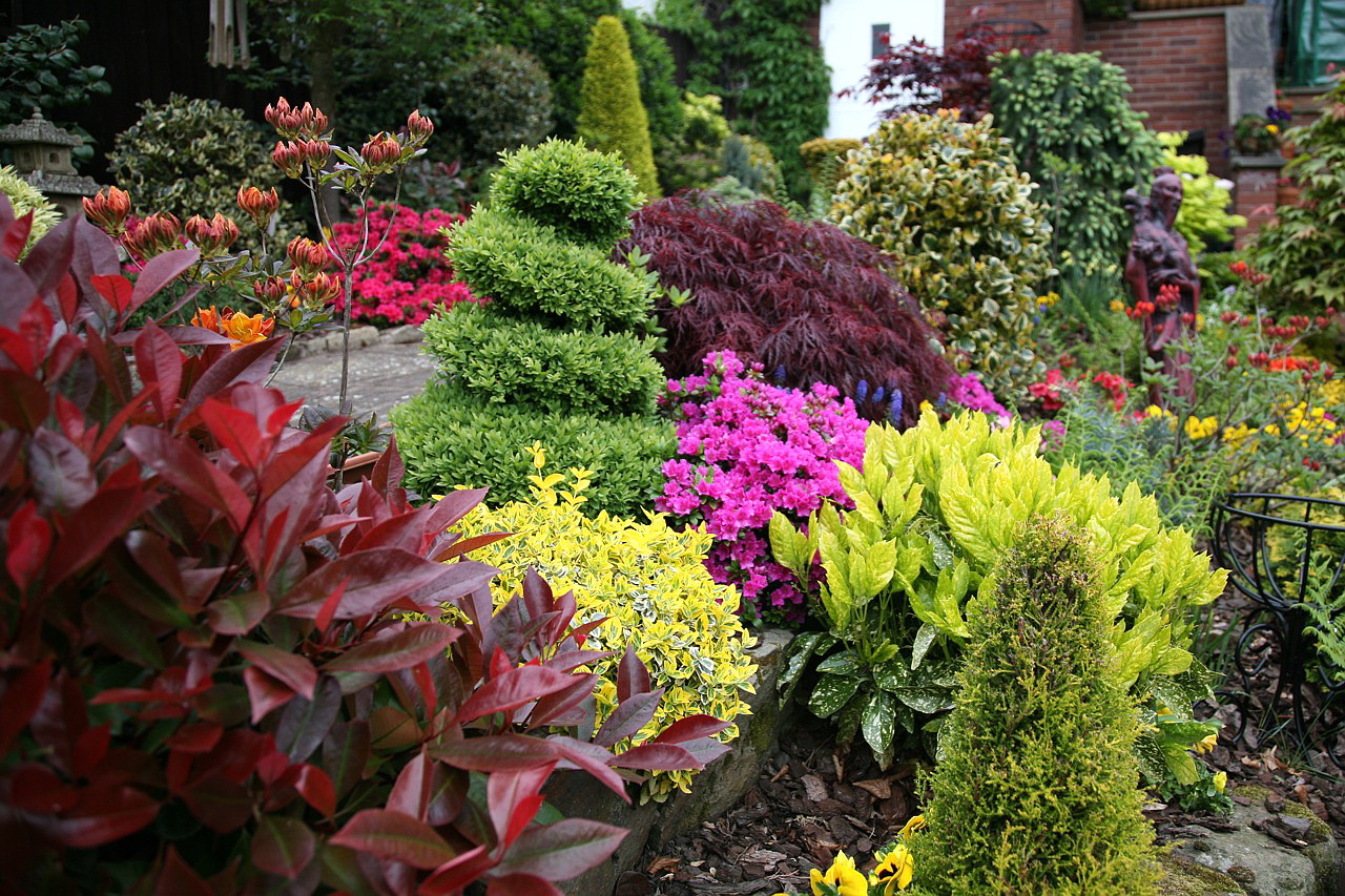 unusual landscape decor of a summer cottage in the English style with flowers