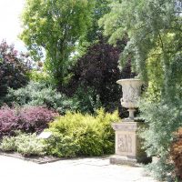 beautiful landscaping of the courtyard in the English style with trees photo