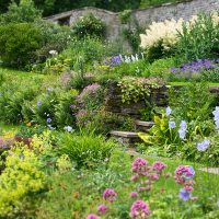 chic landscaping of a summer house in the English style with trees photo