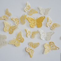 beautiful butterflies in the interior of the corridor photo