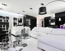 chic style living room in black and white color picture