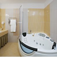 bright interior of a bathroom with a shower in dark colors photo