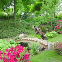 unusual landscaping of a summer cottage in the English style with flowers picture