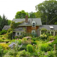 beautiful landscaping of a summer cottage in the English style with flowers photo