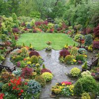 beautiful landscape decor of the courtyard in the English style with trees picture