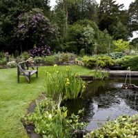 unusual landscaping of a summer house in the English style with flowers picture