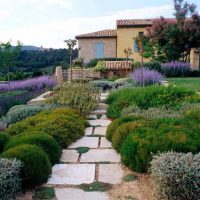 unusual landscaping of the garden in the English style with flowers photo