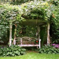 beautiful landscaping of the courtyard in the English style with flowers photo