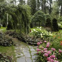 hiasan landskap yang indah di sebuah pondok musim panas dalam gaya bahasa Inggeris dengan foto pokok