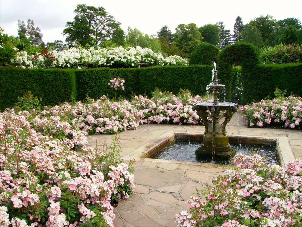 beautiful landscape decor of a summer house in the English style with trees