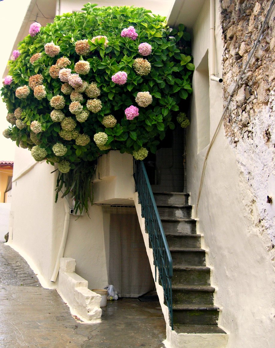 chic flowers in the interior of the balcony on the shelves example