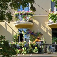 bright flowers in the interior of the balcony on the shelves example picture