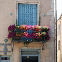 bright flowers in the interior of the balcony on the shelves design picture