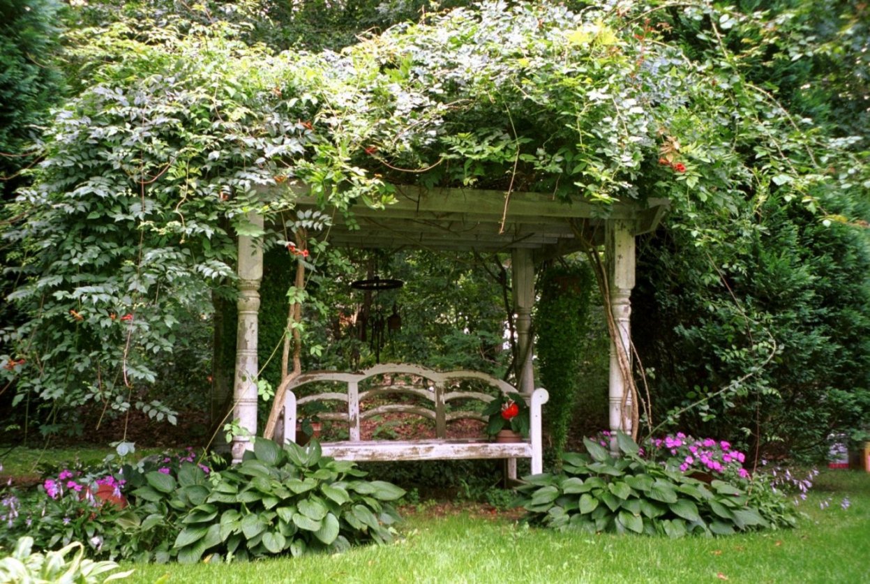 chic landscaping of a summer cottage in the English style with trees