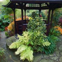 unusual landscape decor of the courtyard in the English style with trees picture