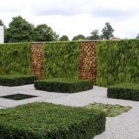 chic landscape decor of the courtyard in the English style with trees photo