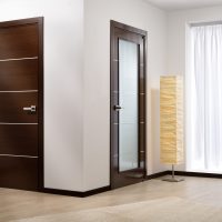 dark walnut style doors picture