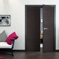 dark doors in the interior of the hallway made of walnut photo