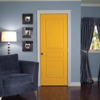 dark doors in the interior of the hallway photo