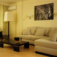 bright corner sofa in the interior of the apartment picture