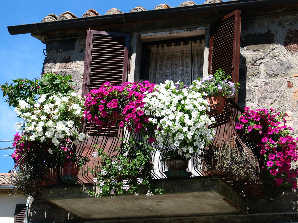 bright flowers on the balcony on the shelves example