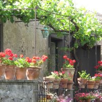 bright flowers in the interior of the balcony on the lintels interior photo