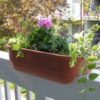 chic flowers on the balcony on the shelves example photo