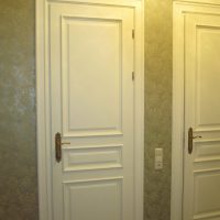 dark style bedroom doors picture