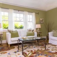 beautiful american style hallway interior picture