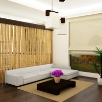 ceiling with bamboo in the interior of the corridor picture