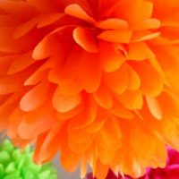 multicolored paper flowers in the facade of the hall photo