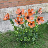 large bright flowers in the landscape design of the cottage picture