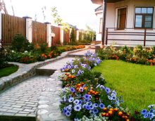 small unusual flowers in landscaping flower beds photo